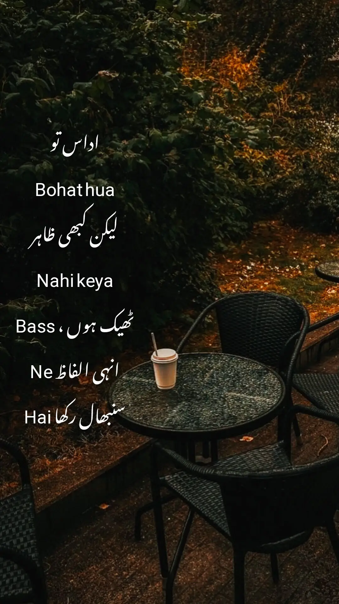 #foryou #poetry #sadpoetry #poetrystatus #fyp 