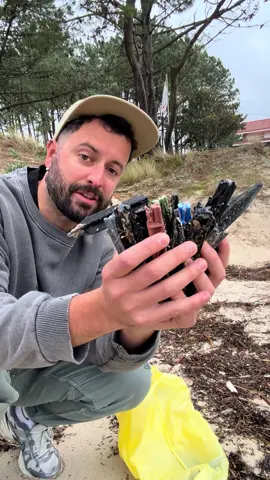 ¿Qué son estas cosas? Otro día más de limpieza de playa.