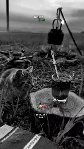 انا بابا تربى راجل وربى ولادو رجال #fyp#تصميمي#foryoupage#الجزائر