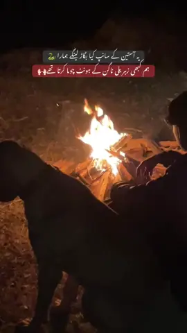 سنگتاں دی درد تاریخ دے وچ سدا یار نوں یار مرایا اے🙌🏻