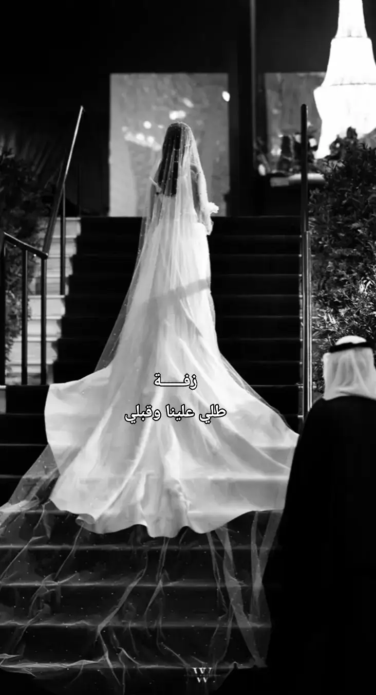 #زفه_عروسه#زفات_ماجد_المهندس_بدون_حقوق#زفات_راشد_الماجد_بدون_حقوق #زفات_2024_محمد_عبده_حسين_الجسمي#زفه_بدون_موسیقی