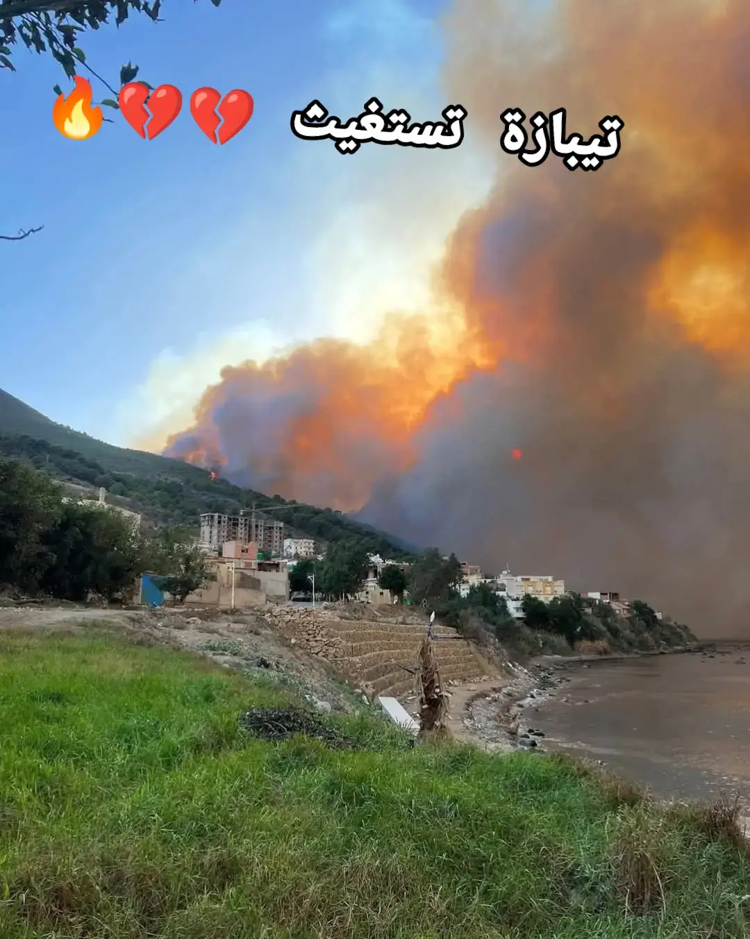 #تيبازة #تيبازة42 #tipaza #tipaza42 #حريق  اللهم بردا وسلاما على إخواننا المستضعفين