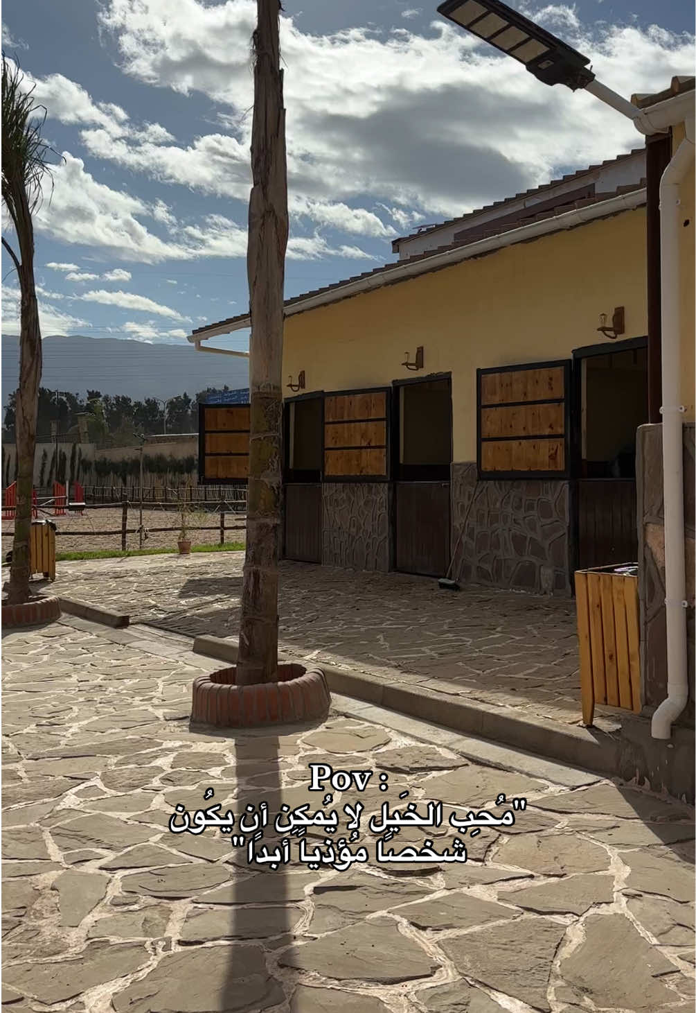 '' مُحِب الخَيل لا يُمكِن أن يكُون  شخصًا مُؤذياً أبدًا'' ❤️ . . . . #horse #algeria🇩🇿 #equestrian #خيل #horse 