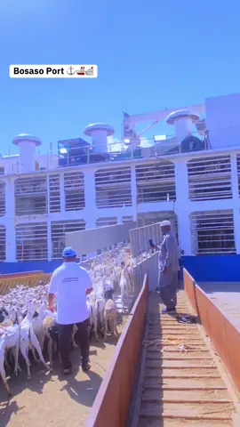 #fyp #fouryou #fouryoupage #dhalugaaz1 #puntlander🇸🇱 