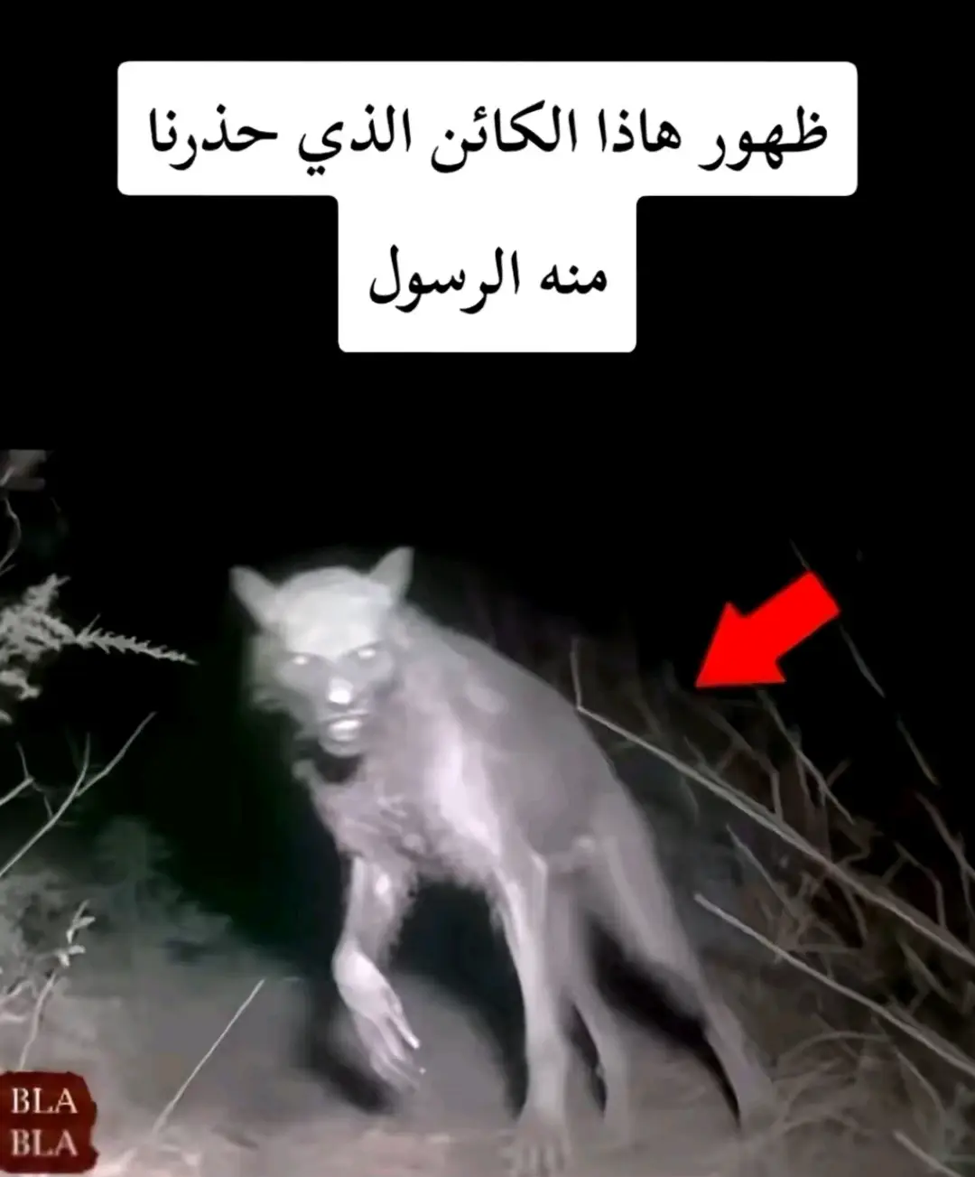 #علامات_الساعة #القيامه #يارب 