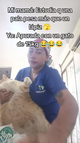#viral #fybシ #paratiiiiiiiiiiiiiiiiiiiiiiiiiiiiiii #veterinaria #mascotas 