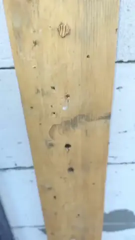 #audios #audiosparatiktok #audiosengraçados 