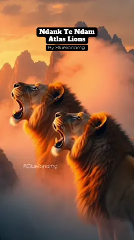 Ndank Te Ndam - Atlas Lions by Bluelionamg - Morocco- Football - Mama Africa - CAF #morocco #المنتخب_المغربي #كأس_العالم #كاس_افريقيا المغرب