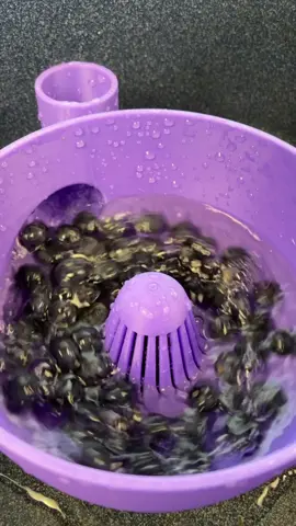 Smart Fruit & Veggie Washer🫐🤩#layerworks #washing #fruit #veggies #3dprinting Makerworld model number: 1507073