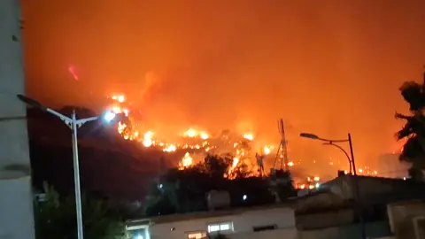 شاهد: حريق ضخم يلتهم غابات تيبازة 🚩🚩🚩  #حريق   #تيبازة  #احتراق_غابة