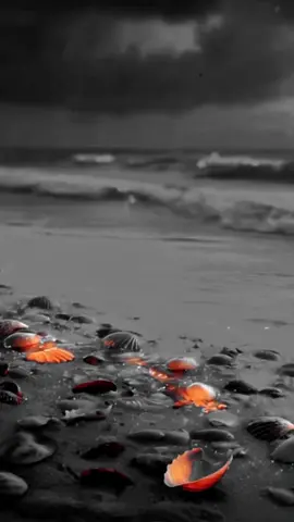 #goodmorning #relationshipgoals #beautifull #iloveyou #feelings 