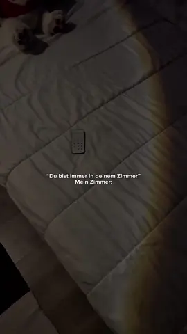 Der beste Kauf, den ich 2025 gemacht habe 😍 #projector #fantasy #schloss #harrypotter