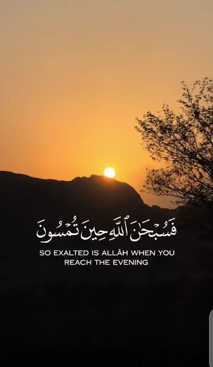 سورة/ الروم /مع القارئ/ محمد الفقيه 