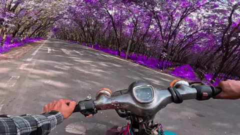 Oii cái màu 🥲#viral #xh 