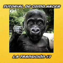 Tutoriales de edits#editor #apoyo? #edits #transicao 
