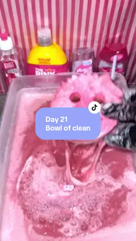 Day 21 Guys! New bowl soon! #bowl #cleaning #bowlof 