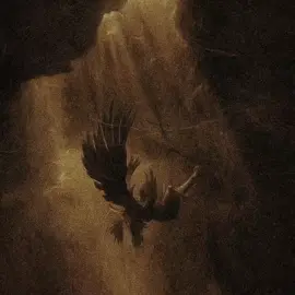 🪽  #anakinskywalker #anakinskywalkeredit #starwars #starwarsedit #haydenchristensen 