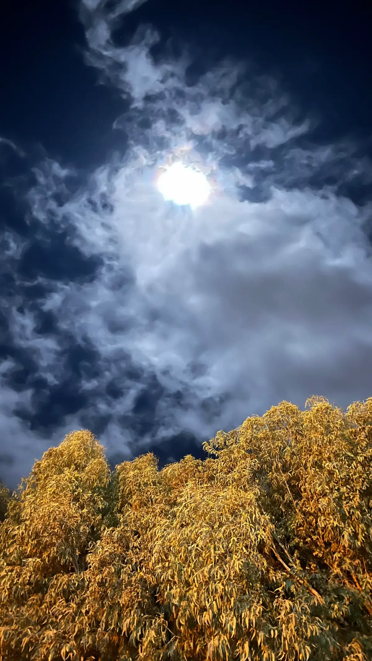 #يوسف_البدري #libya🇱🇾 #تصويري #fyppppppppppppppppppppppp #fyp 