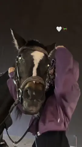 #هواجيس_الليل #explore 