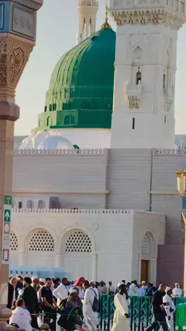 #یارسول_اللہ_________یاحبیب__اللہ #نعت #irfanali #foryou #viral 