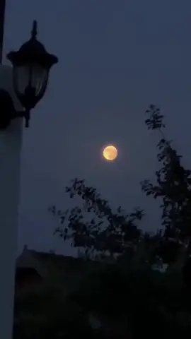 صباح الحب ❤️ #منشن_للي_تحبه #شير_لاَيك_مُتاَبعه #صباحكم_أحلى_صباح #الشعب_الصيني_ماله_حل😂😂 