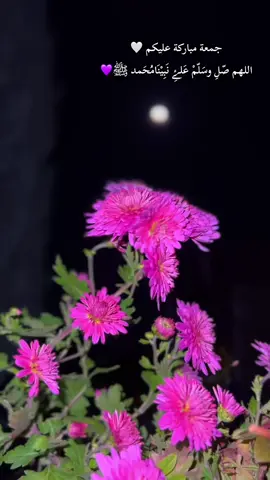 💜🤲🏻#سلاوات_لە_سەر_گیان_پێغمبەر_د_خ🤲📿 