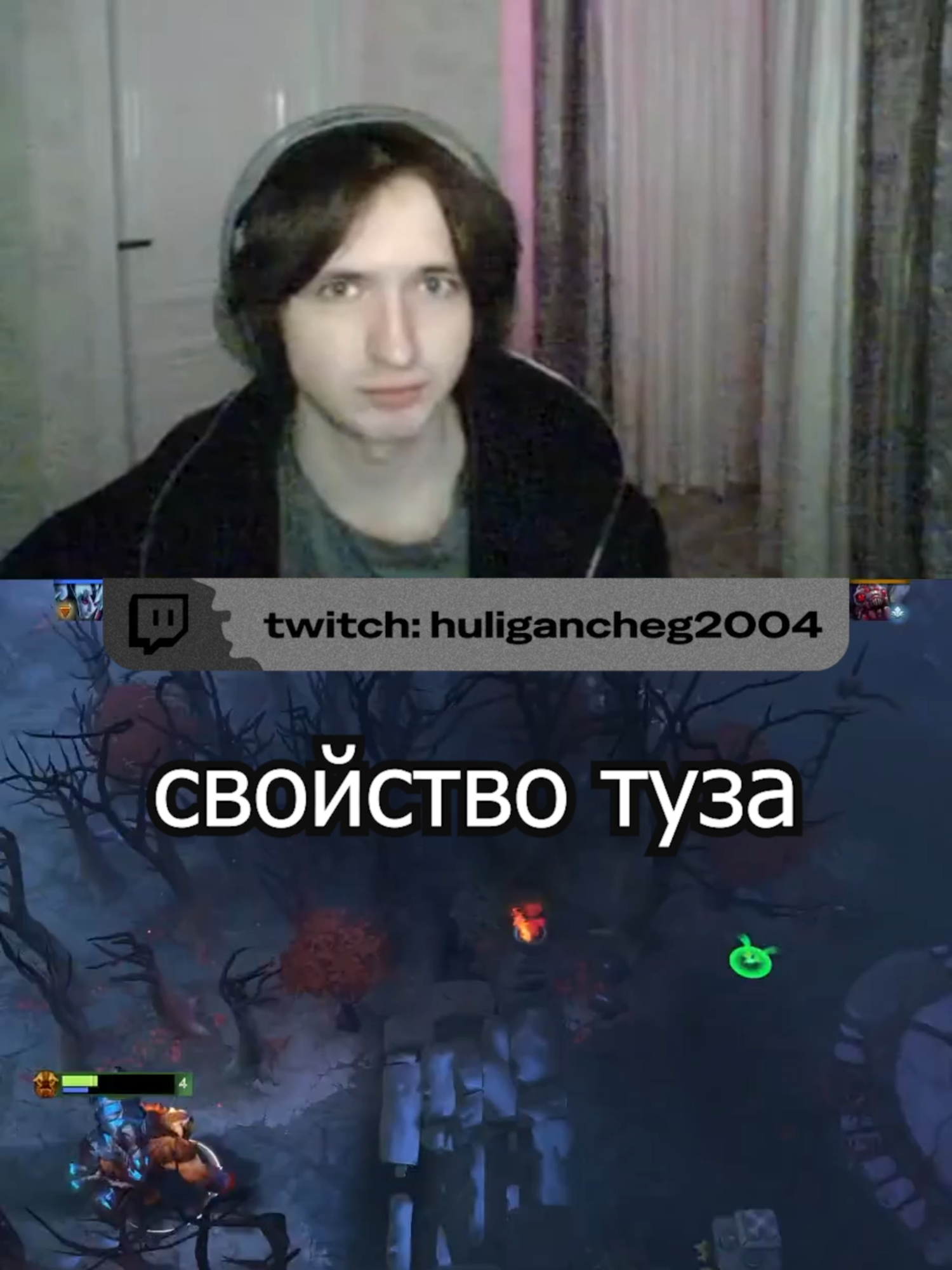 #huligancheg2004 #twitch #дота