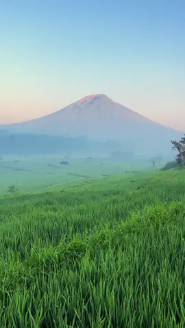Video version of my last post! #Bali #TravelTok #ExploreMore #CinematicTravel #AdventureVibes