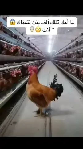 #في هذا اليوم #🤪 #oopp597 