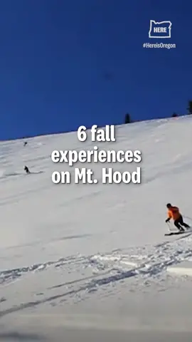 After summer backpacking season ends, before winter ski season begins, a magical window of time opens on Mount Hood. Fall is a glorious time on and around Oregon’s tallest mountain. At lower elevations, pumpkin patches and apple orchards are still flush with fruit. Riverside trails are painted with fall color and springy moss. Higher up the mountain, you may see the first dustings of snow, which you can watch falling while safe indoors beside a crackling fireplace with a hot drink in hand. It’s also a time when you’re not likely to see throngs of other visitors. While Mount Hood is practically always busy on the weekends, the fall sits between its peak tourism seasons. You won’t likely wind up stuck for hours on the highway, for example, like you might when fresh snow draws Portland skiers like moths to a flame. Go on a fall weekday and you can practically have the mountain to yourself. Whether you’re in for a flannel-clad day trip or a cozy overnighter, an outdoor excursion or a day of relaxation, here are the best ways to spend the season on Mount Hood. Read more at the link in our bio. 