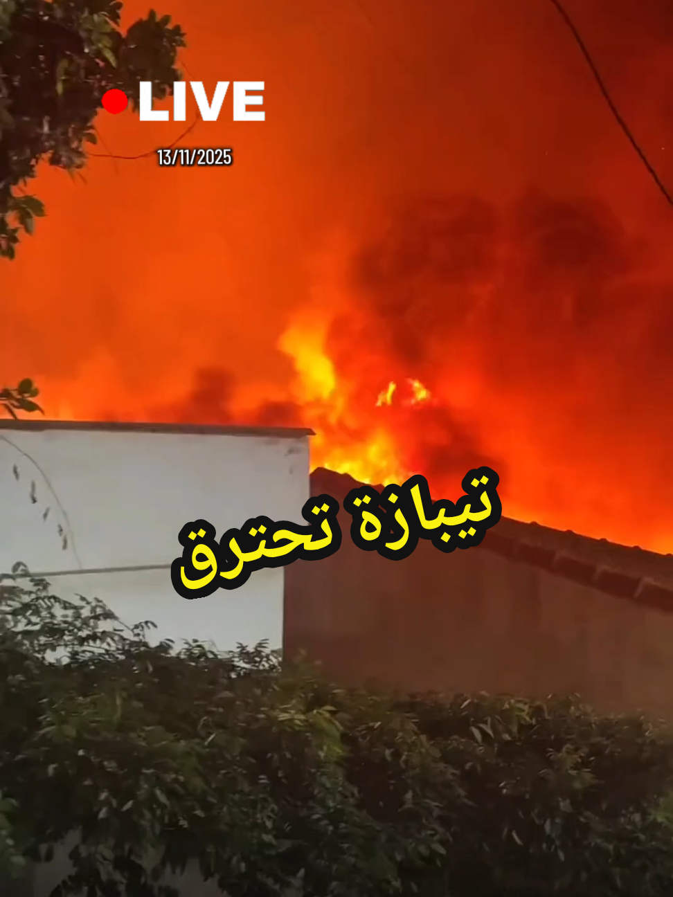 حريق هائل بولاية تيبازة  #الجزائر #تيبازة #حريق #عاجل #عاجل_الان 