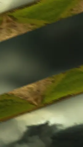 #galmudugnimo #xarardheerebilan🥰❤️ #💚💙❤️🦁 #xarardheerebilan🥰❤️ #dhaqandhoor2 