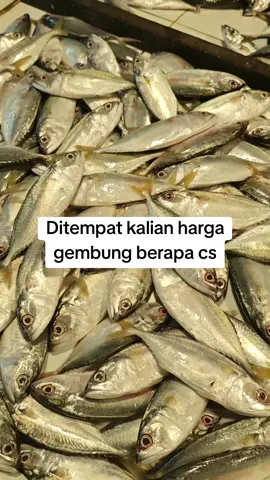 #pasar #pontianak #viral #fyp #ikan 