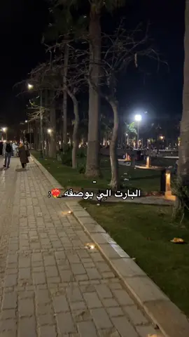 كلامه قليل فعله كثِير ❤️‍🔥. #fyppppppppppppppppppppppp #viral_video #mylove #tiktokuni #libya🇱🇾 