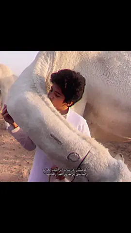 #غلا_الاومير #ماشاءالله #تركي_الاومير #خالد_ال_بريك #سلطان_الحويقل