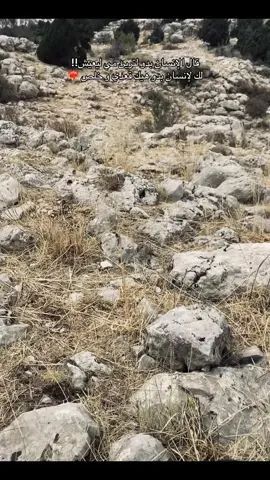 #capcut #fyp #🐦‍⬛ 