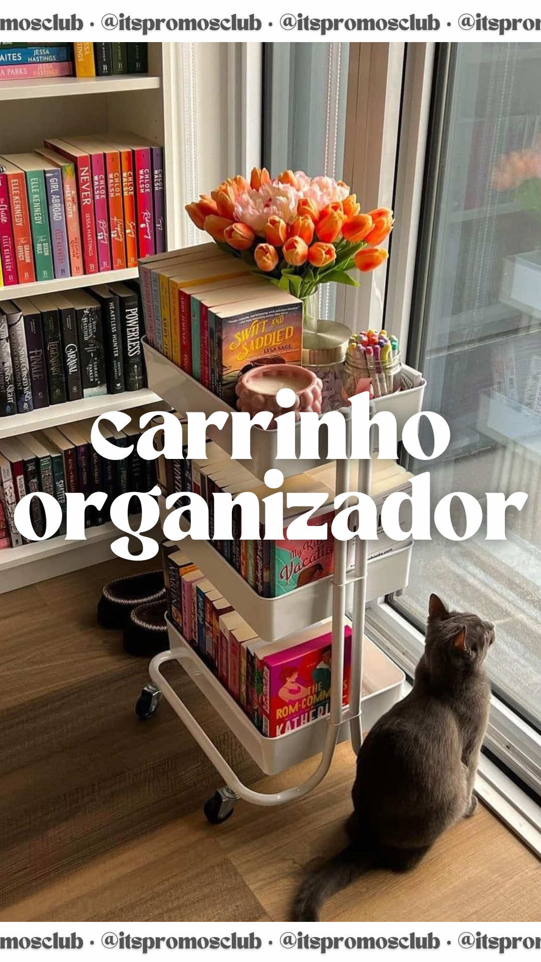 no precinho de black friday ainda, compensando muitooo #carrinhoorganizador #roomdecor #BookTok #pinterestroom