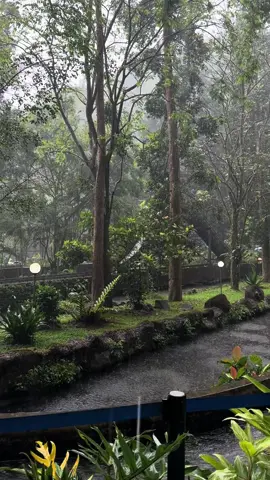 اجمل شعور🥹🌧️ #بونشاك  #مطر 