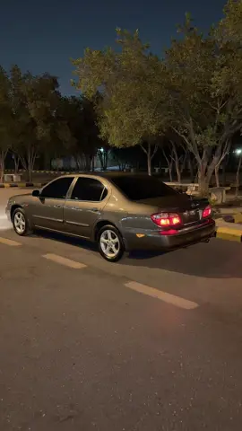 ماشاءالله😍❤️🤏🏻.#مكسيما #اكسبلور #الشرق 