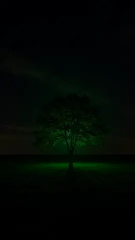 #fypシ #fyppppppppppppppppppppppp #foryou #foryoupage #explore 