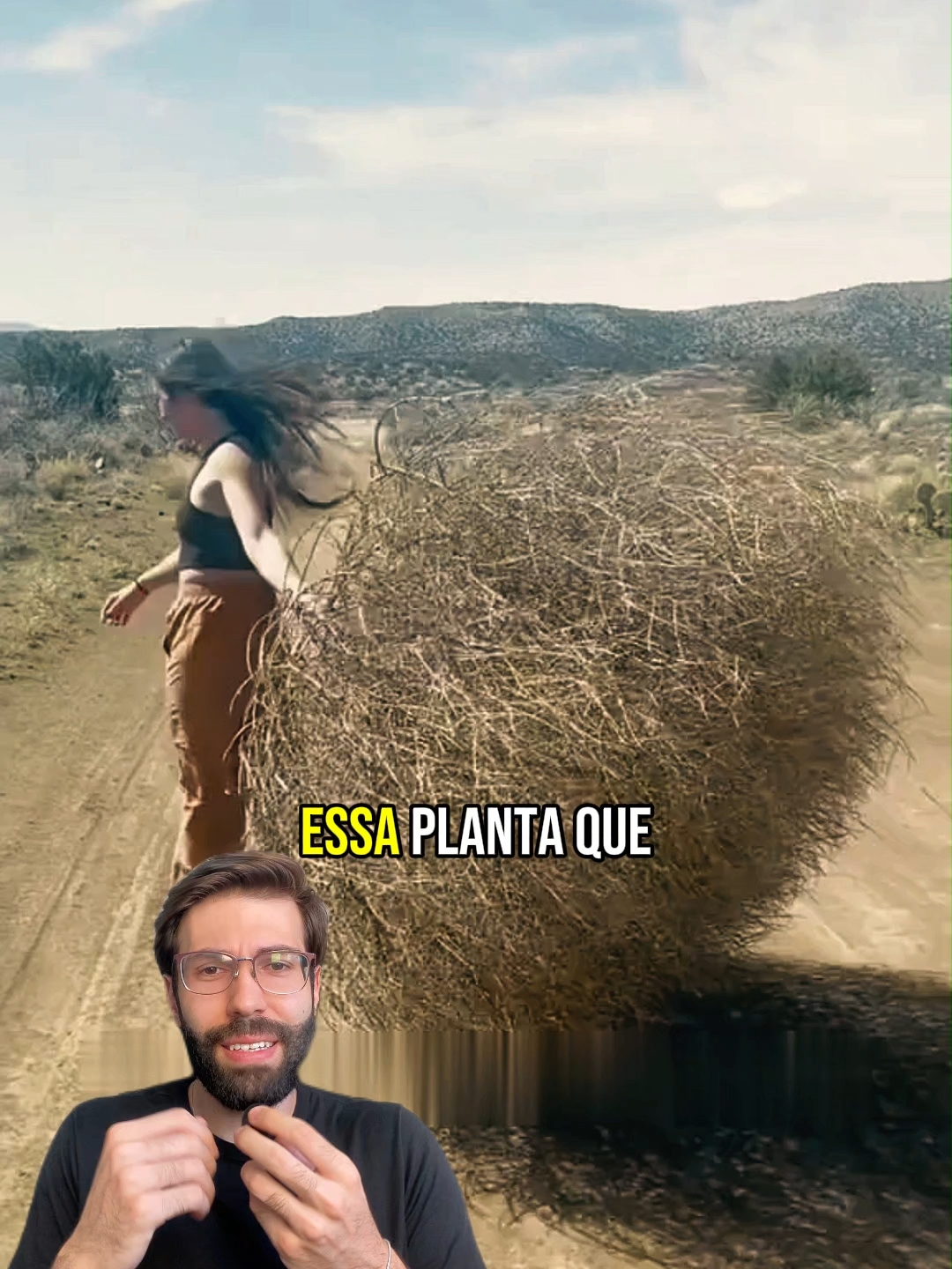 Por que essas plantas parece andar?