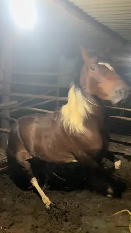 Esquentado e ele ❤️‍🔥🔰 #mangalargamarchador🔰❤️‍🔥 #fypp 