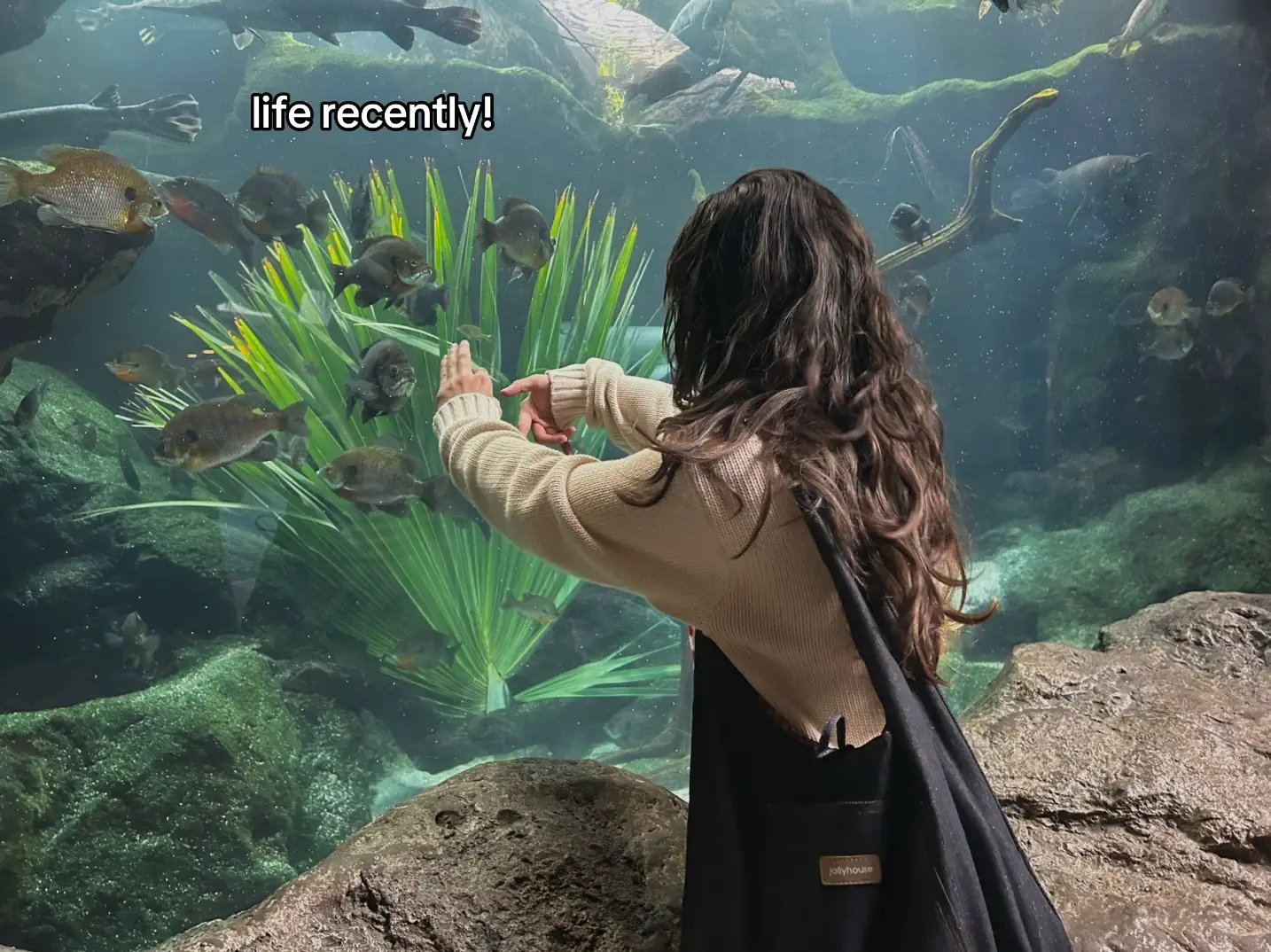 the busiest month ive ever had but i had so much fun! :) #fyp #fall #concert #halloween #trending 