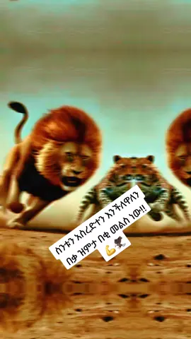 #እልከኛዋ🔥 #ንስሯ🦅 #🦁🦅🔥 