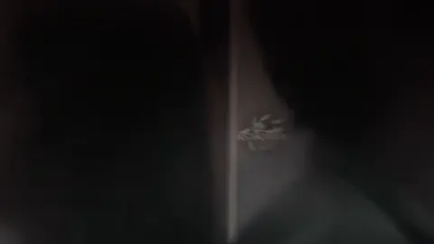 #لاشتقت_لك_كيف_اوصلك 💔😴 #تصميم_فيديوهات🎶🎤🎬  #شيلات_حزينه  #fypシ゚viral🖤tiktokfypシ゚viral  #fypシ゚viral🖤tiktok☆♡🦋myvideo 