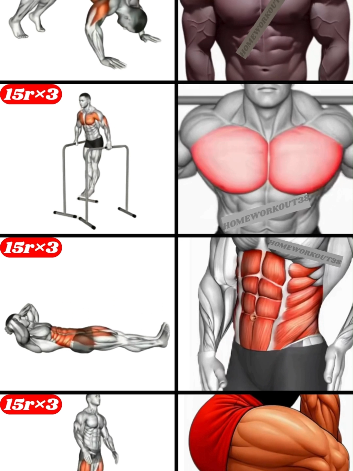 home workout.#GymTok #muscle #exercise #Fitness #workout #workoutroutine #workouttips #fit #fitnesstips #motivation #workoutmotivaton #homeworkout