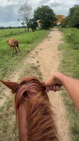 #caballos#piquetero#carreras 
