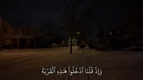 ﴿وَإِذ قُلنَا ادخُلوا هذِهِ القَريَةَ فَكُلوا مِنها حَيثُ شِئتُم رَغَدًا﴾ [البقرة: ٥٨]#ياسر_الدوسري #سورة_البقرة #اكتب_شي_توجر_عليه 