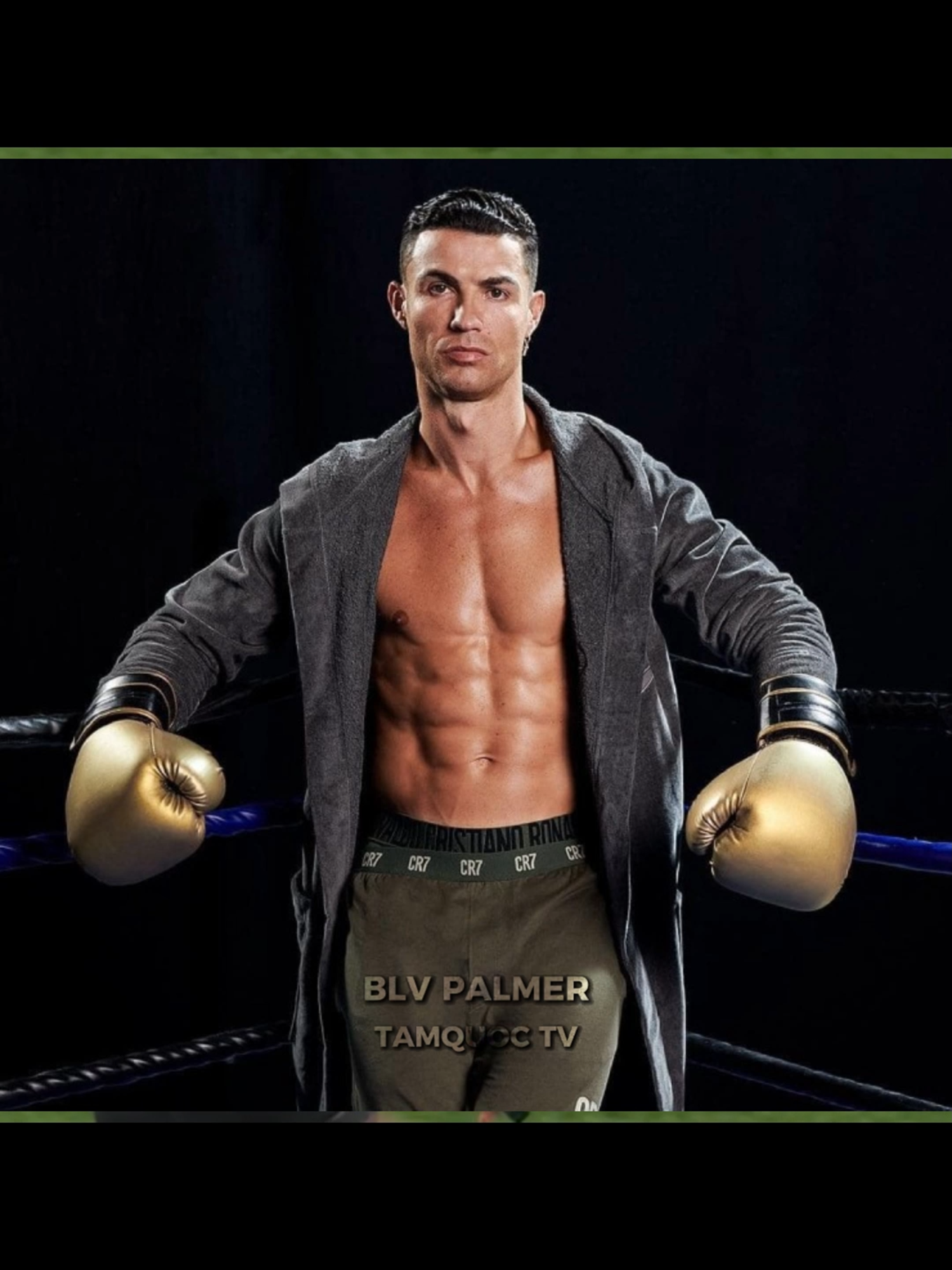 Tay đấm vĩ đại nhất lịch sử Portugal#funny #highlight #football #ronaldo #fyp #portugal #bodaonha