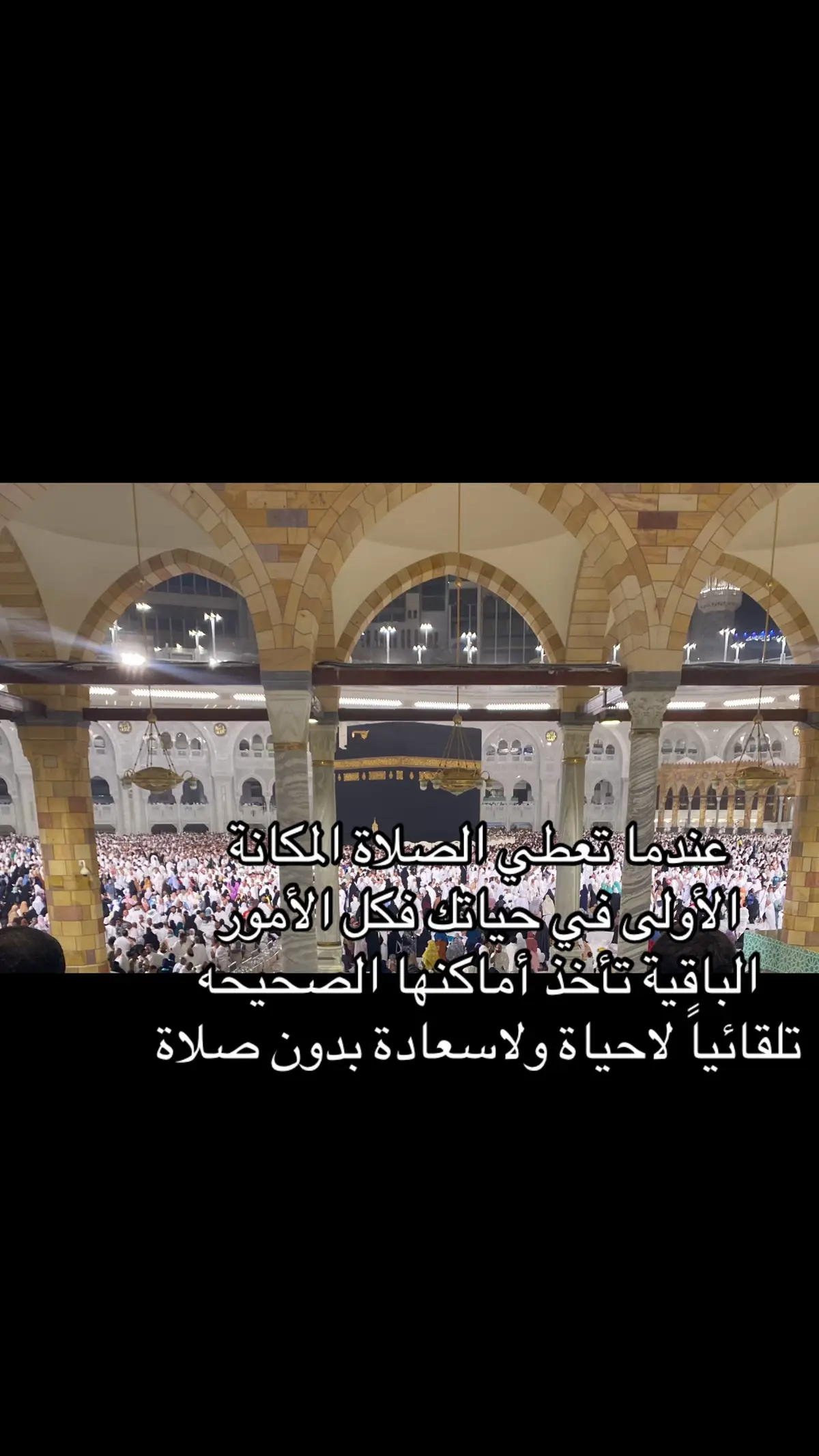 #🤍🤍🤍🤍🤍🤍🤍🤍 